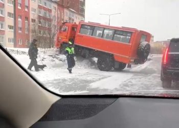 24.02.2025. «Новости Северного города». Опасные манёвры. Любопытные носы. Ключ к здоровью.