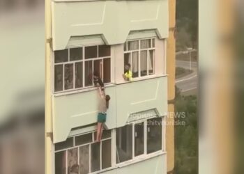 14.07.2025 «Новости Северного города». На грани разума. Итоги полевых работ. Символичное число.