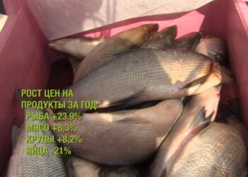 Что вверх, а что вниз?