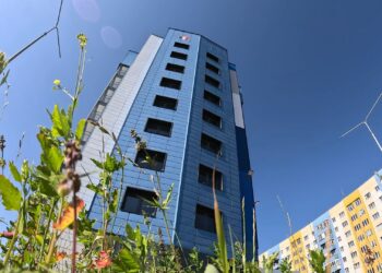 08.08.2025 «Новости Северного города». Прогресс реновации. Остановка на вырост. Свежие краски Севера.