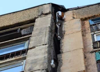 12.08.2025 «Новости Северного города». Делится на части? Теперь само не рухнет. Фестиваль экстрима.