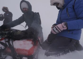 Лаборатория под открытым небом