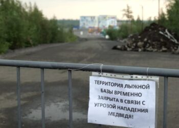 06.08.2026 Новости «Северный город». Незваный гость. К урокам готовы? Какова твоя профессия?