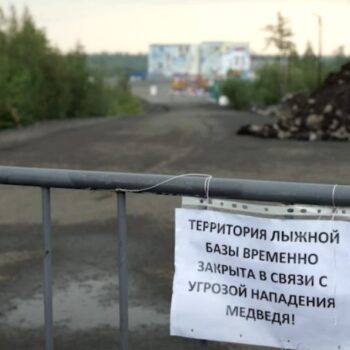 06.08.2026 Новости «Северный город». Незваный гость. К урокам готовы? Какова твоя профессия?