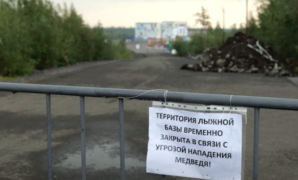 06.08.2026 Новости «Северный город». Незваный гость. К урокам готовы? Какова твоя профессия?