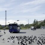 «Паралич» автобусов