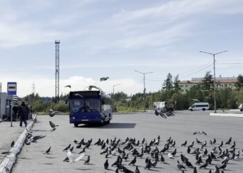«Паралич» автобусов