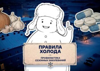 Правила холода. Профилактика ОРИ и ОРЗ